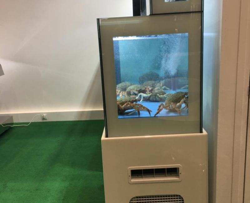 EQUIPO CON DOBLE ALTURA - Acuarios y Viveros de marisco Tecnomar